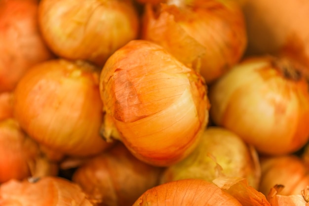 Obst und Gemüse symbolisieren Nahrung, Wachstum und Vielfalt Kartoffeln, Tomaten, Zwiebeln, Apfel