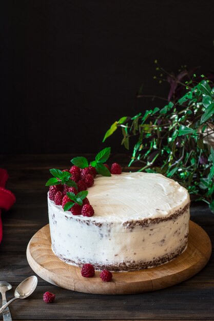 Obstkuchen Himbeerkuchen mit Schokolade. Schokoladenkuchen. Minze-Dekor Käsekuchen.