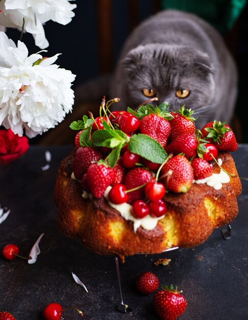 Foto obstkuchen mit orange, fröhlichkeit und erdbeere mit pfingstrosen und rosen als dekoration und eine katze dahinter