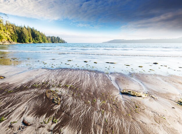 Ocean Beach en la isla de Vancouver, Columbia Británica, Canadá