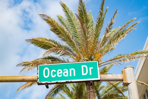 Ocean Drive Straßenschild in Miami mit Palme