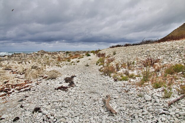 Oceano Pacífico em Kaikoura, Nova Zelândia