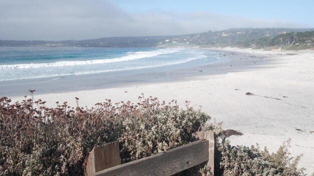 Océano playa de arena costa de california mar agua ola rompiendo clima soleado niebla