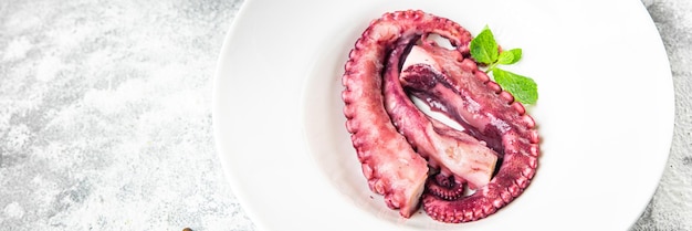 Octopus Food Meeresfrüchte frische Mahlzeit Sea Snack auf dem Tisch kopieren Raum pescetarische Ernährung