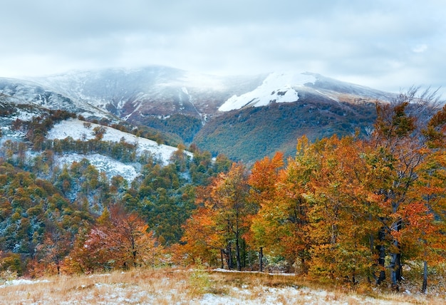 Octubre meseta montañosa de los Cárpatos con la primera nieve del invierno y follaje colorido otoñal