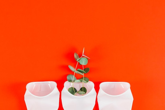 Foto Óculos de plástico amassados com um ramo de eucalipto em fundo vermelho