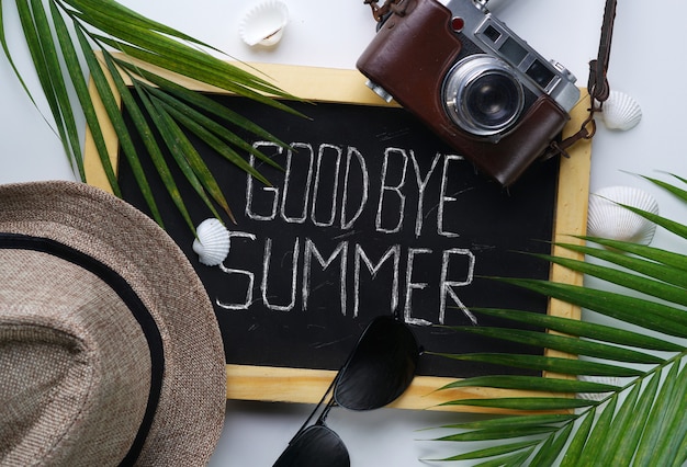 Foto Óculos de sol, chapéu fedora, folha de palmeira, câmera, conchas do mar e quadro-negro