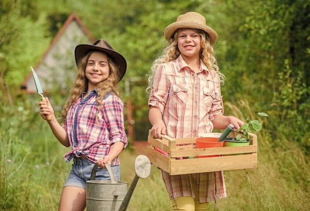 Ocupación de jardinero Cuidar las plantas Hermanas ayudando en el patio trasero Niñas con herramientas de jardinería Las herramientas de jardín amigables para los niños garantizan la seguridad del jardinero infantil Lindo concepto de jardinero Amar la naturaleza