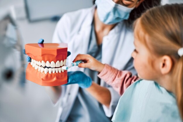 Foto odontología infantil imagen recortada de una enfermera sosteniendo una maqueta de una mandíbula con dientes y un paciente infantil mostrándola cepillándose los dientes en la maqueta