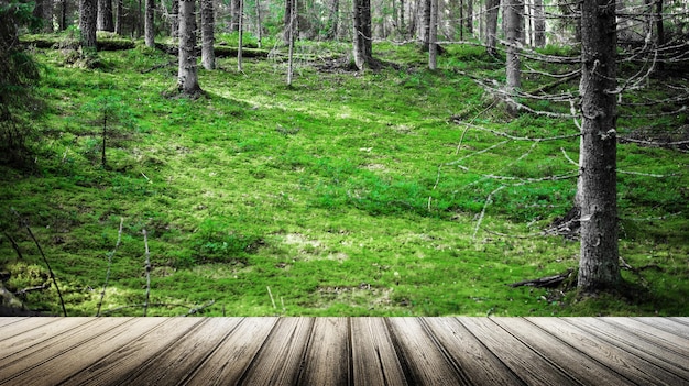 Foto Ökologie sommer schöner hintergrund