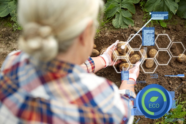 Foto Ökologischer landbau, landwirtschaft und menschenkonzept - bauer mit kartoffeln im bauerngarten