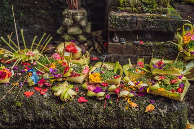 Ofertas diárias canang sari é muito importante em Bali Indonésia