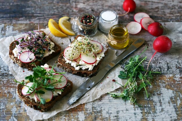 Offene Sandwiches mit Weißkäse, Radieschen und Microgreens.