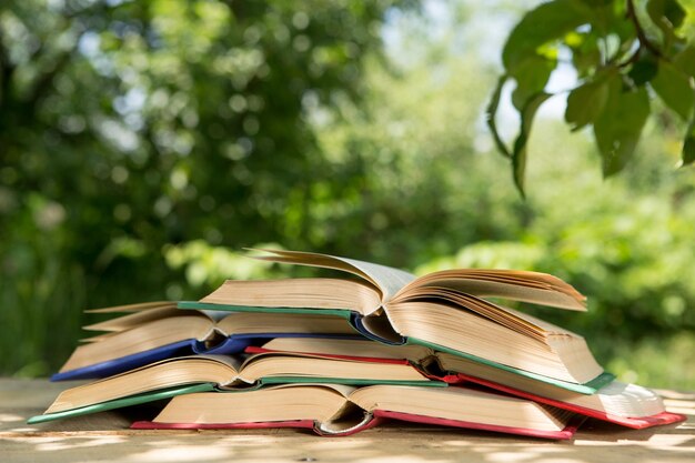 Offenes Buch auf einem Holztisch in einem Garten Sonniger Sommertag in einem Urlaubskonzept