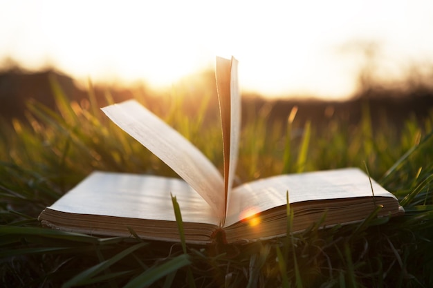 Offenes Buch auf Gras unter der Sonne