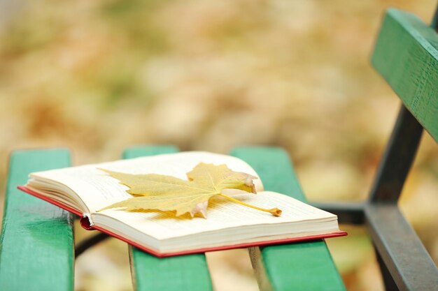 Offenes Buch mit Blatt darauf liegend auf der Bank im Herbstpark