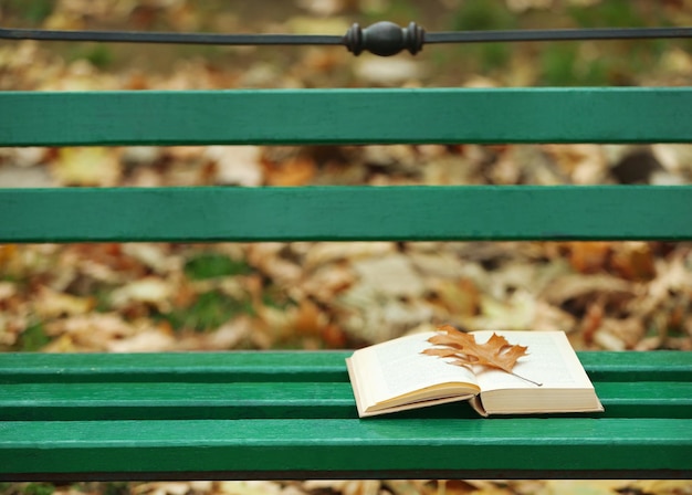 Offenes Buch mit Blatt, das im Herbstpark auf der Bank liegt