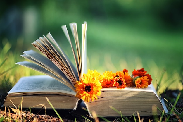 Foto offenes buch mit blume auf gras