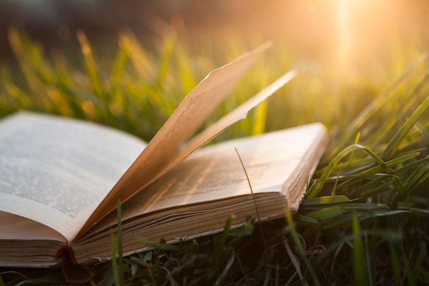 Offenes Buch über Gras