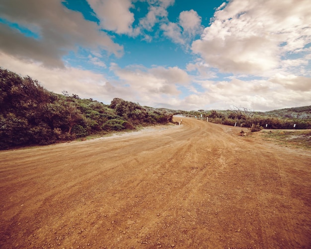 Offroad en los bosques perth filtro de tonificación vintage agregar