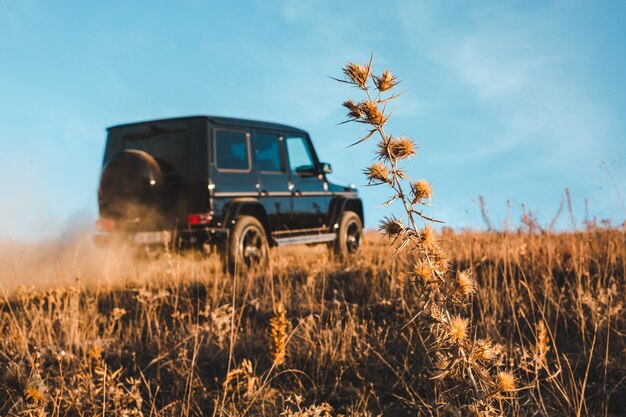 Offroader negro en los campos con cielo azul