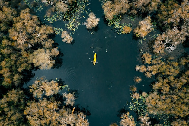 Oficiais do Departamento de Parque Nacional fazem canoa ou caiaque para explorar a floresta de mangue no jardim botânico