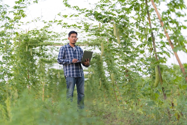 Oficial de Investigación Agrícola