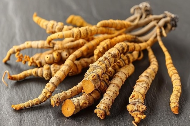 Foto ofiocordyceps sinensis ou cordyceps de cogumelo é uma erva