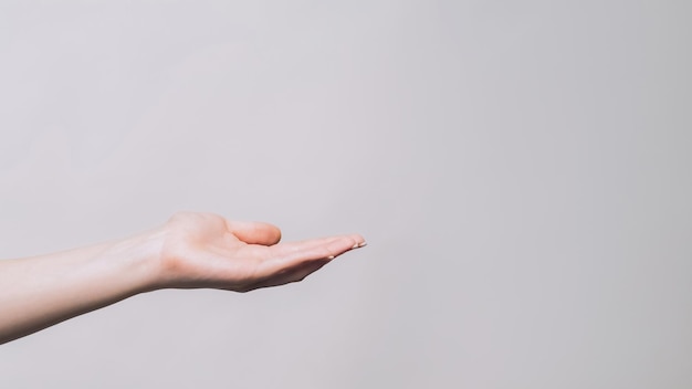 Ofreciendo el gesto de la palma abierta de la mano de la mujer copyspace