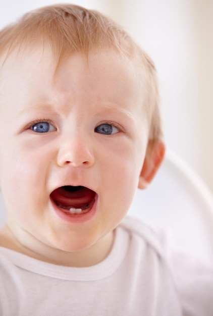 Oh não, onde ela foi agora. Closeup tiro de um menino gritando por um pouco de atenção.