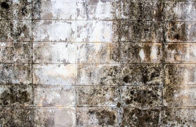 Oi res fundo e textura da parede de tijolos grunge
