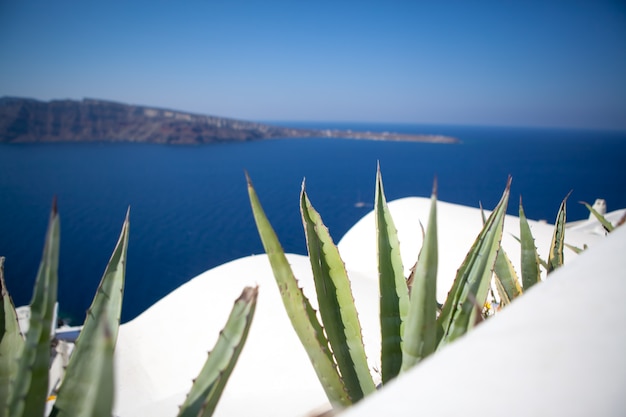 Oia-Stadt auf Santorini-Insel, Griechenland.