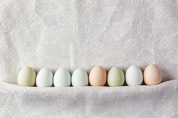 Foto oito cores naturais de ovos orgânicos coloridos de diferentes raças de galinhas estão seguidas