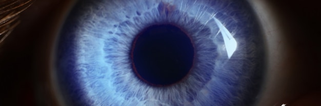 Foto ojo azul humano con luz directamente sobre él