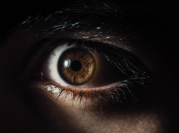 Ojo cortado de una persona