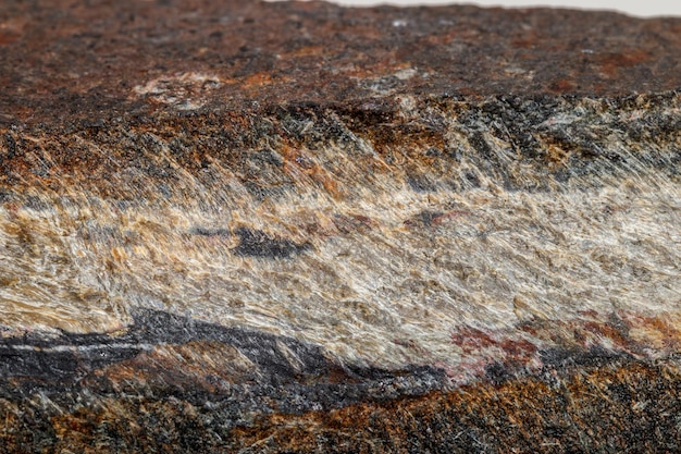 Ojo de serpiente de piedra mineral macro en la roca un fondo blanco