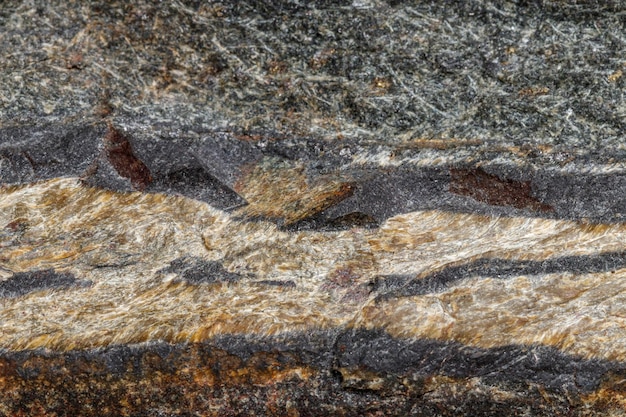 Ojo de serpiente de piedra mineral macro en la roca un fondo blanco