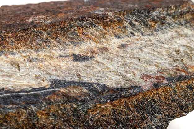 Ojo de serpiente de piedra mineral macro en la roca un fondo blanco