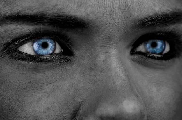 Ojos azules en la cara gris