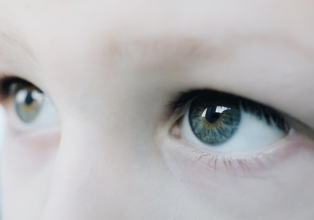 Ojos azules de niño macro de cerca