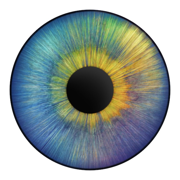 Ojos de iris Iris humano con venas sanguíneas Ilustración ocular Ojo multicolor Gráfico digital creativo