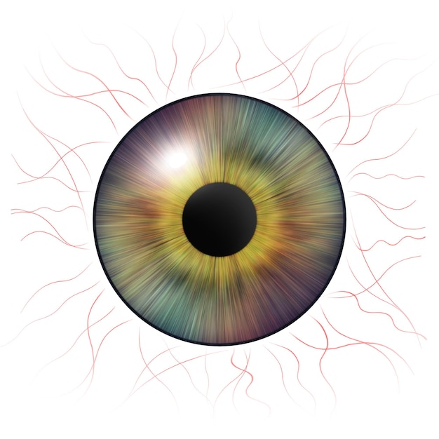 Foto ojos de iris iris humano con venas sanguíneas ilustración de un ojo diseño gráfico digital creativo