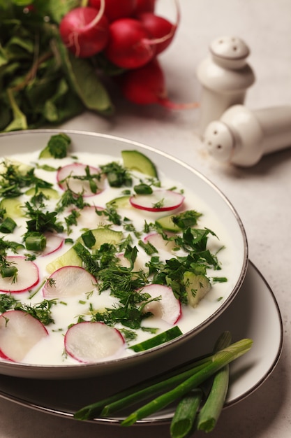 Foto okroshka de verão com kefir