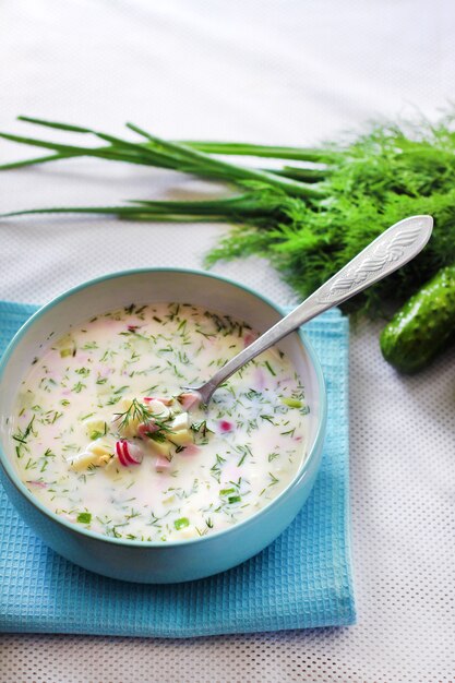 Okroshka - sopa fria tradicional russa com pepino fresco, ovos cozidos e endro
