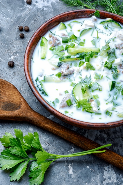 Okroshka, sopa fría de verano