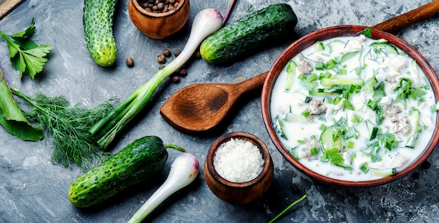 Okroshka, sopa fría de verano