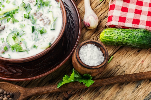 Okroshka, sopa fría de verano