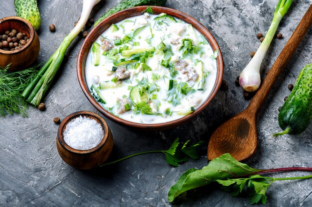 Okroshka, sopa fría de verano