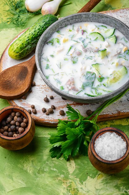 Okroshka, sopa fría de verano