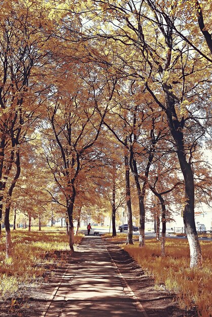 Oktoberlandschaft / Herbst im Park, gelbe Oktoberbäume, Gasse in der Herbstlandschaft